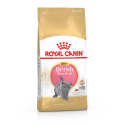 Royal Canin - British Shorthair Kitten Royal Canin - 1