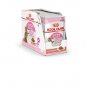 Royal Canin - Kitten Sterilised Sauce Royal Canin - 2