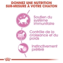 Royal Canin - Kitten Sterilised Sauce Royal Canin - 4