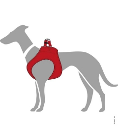 Harnais pour chien - Harnais Hilo Hunter - 1 2