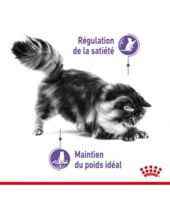 Royal Canin - Appetite Control Care Royal Canin - 1 2