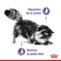 Royal Canin - Appetite Control Care Royal Canin - 2