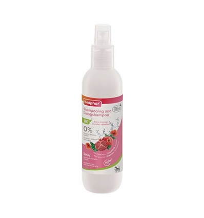 Shampoing sec chien/chat