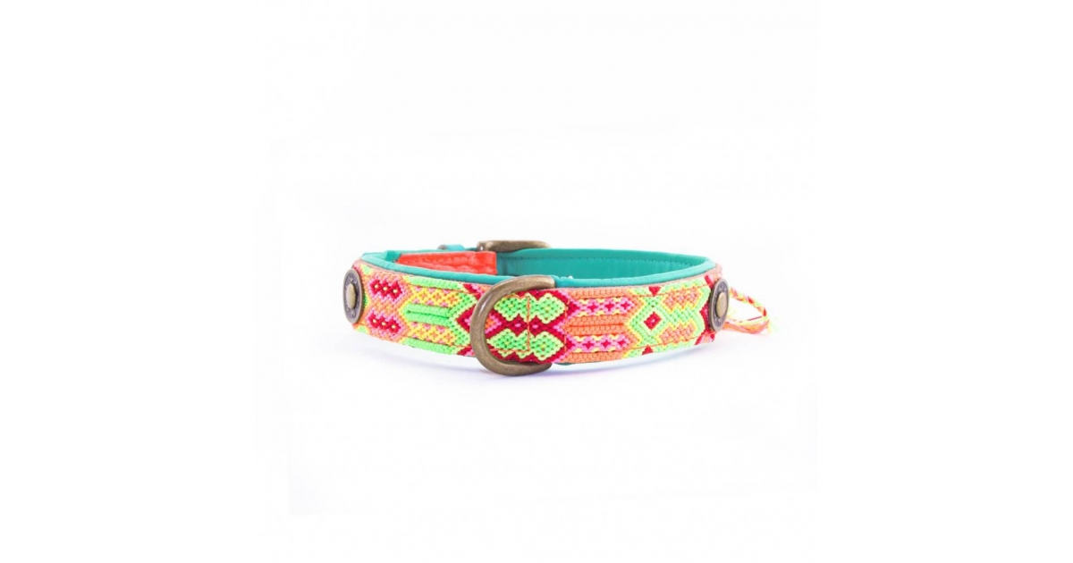 Collier pour chiens - Ginger DWAM - 1