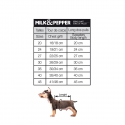 Pull pour chiens - Pull Lumi Milk & Pepper - 4