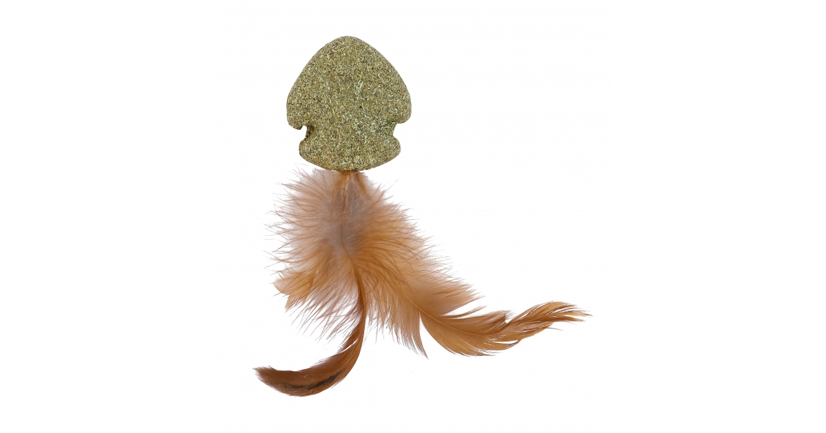 Poisson Nageur à Plume HC Wouapy - 1