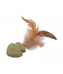 Poisson Nageur à Plume HC Wouapy - 1 2