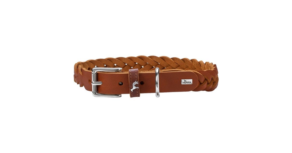 Collier pour chiens - Collier Solid Education Hunter - 1