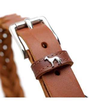 Collier pour chiens - Collier Solid Education Hunter - 2