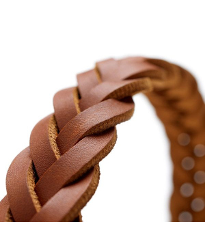 Collier pour chiens - Collier Solid Education Hunter - 3