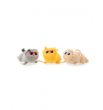 Cool Cats