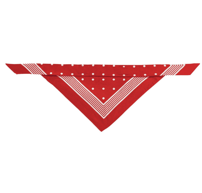 Bandana Adaptable aux Colliers