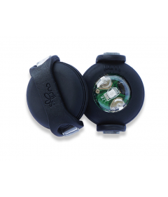 Accessoire de promenade pour chiens - LED pour Colliers Curli