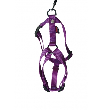 Harnais pour chiens: Harnais Réglable MS Martin Sellier - 8