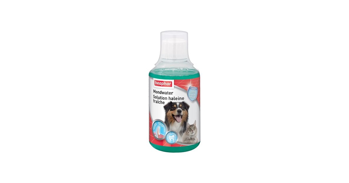 Soin pour chien: Solution haleine fraiche pour chien