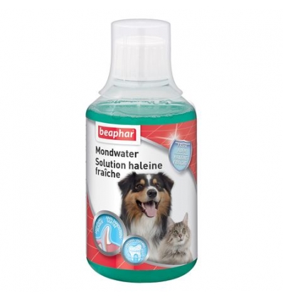 Soin pour chien: Solution haleine fraiche pour chien