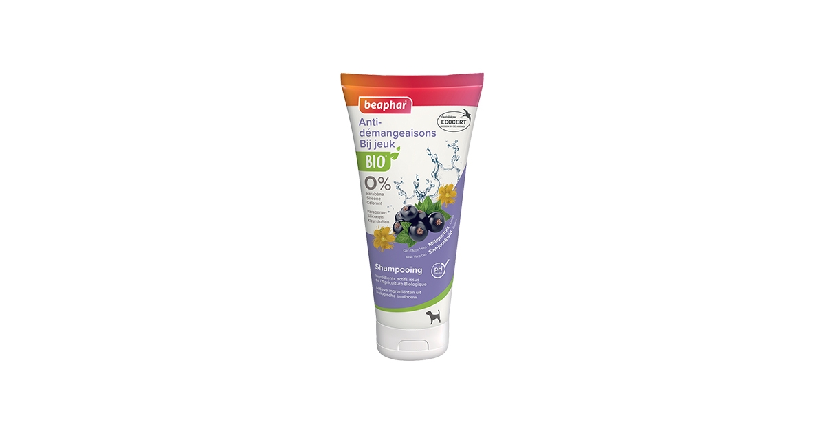 Shampoing anti-démangeaison chien