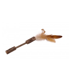 Haltere plumes HC 2