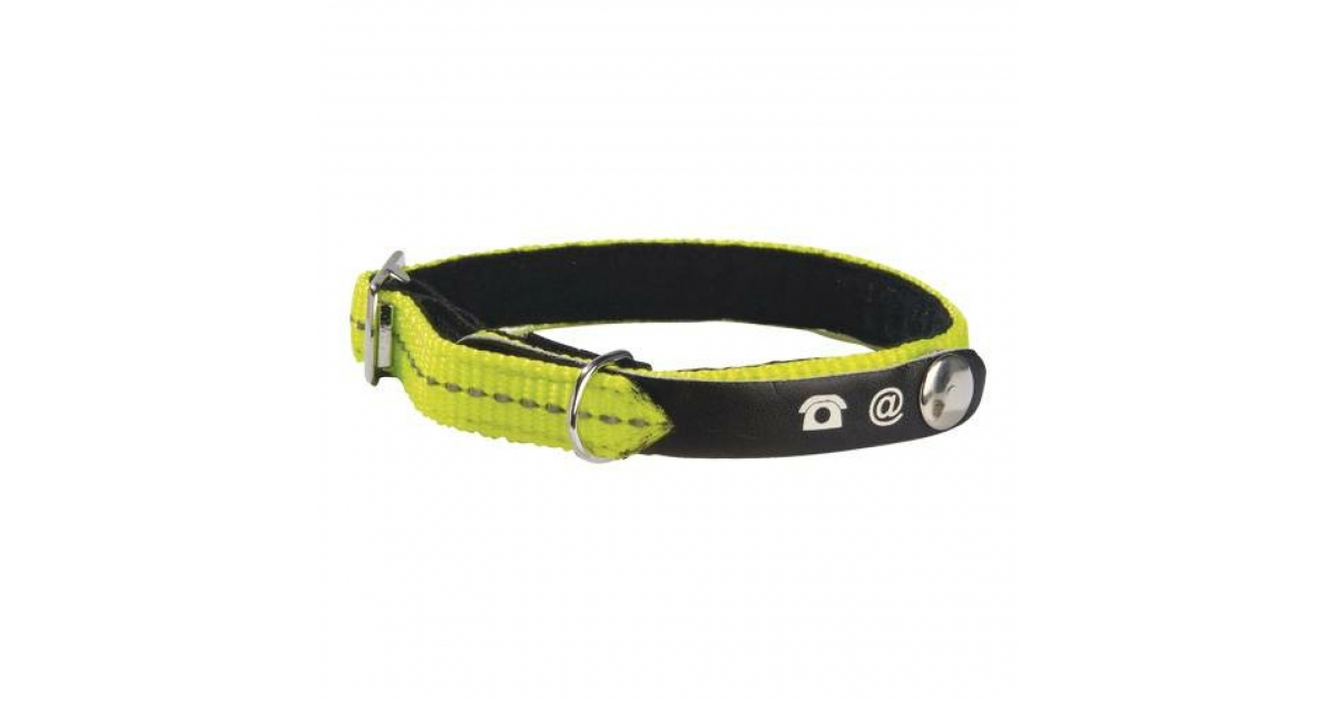 Collier chat Lost BOBBY - 1