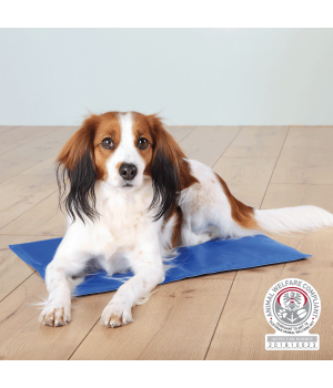 Tapis rafraîchissant