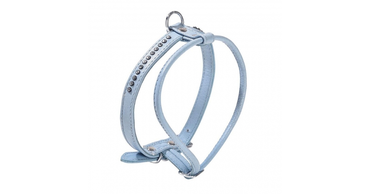 Harnais pour chien - Harnais eclat BOBBY - 1