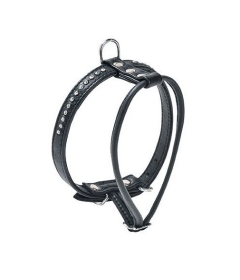 Harnais pour chien - Harnais eclat BOBBY - 3