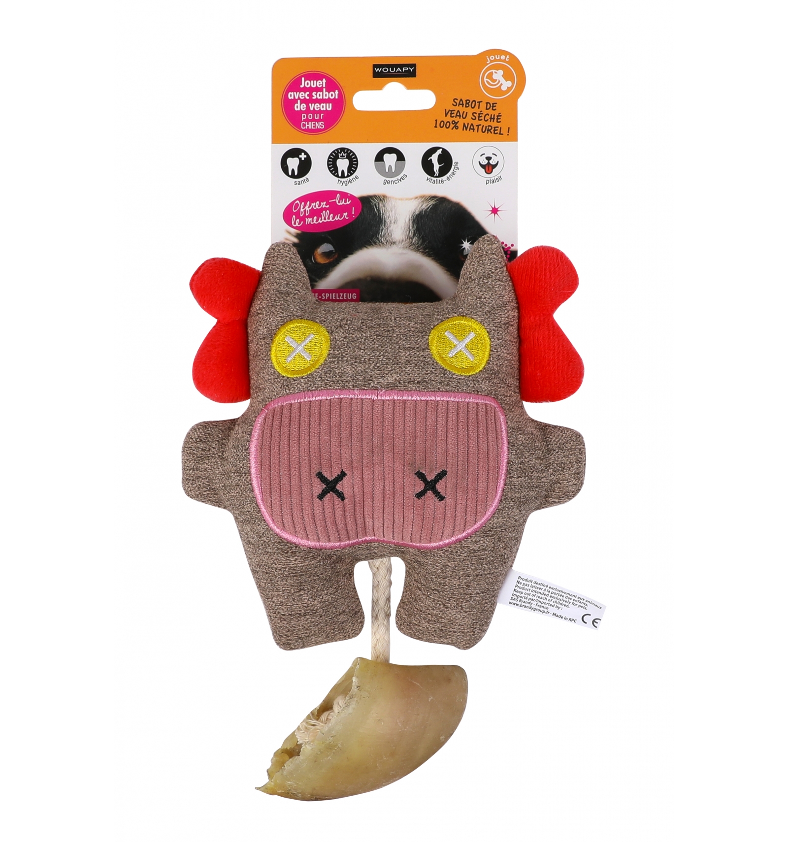 Two Tails Fredo le Dingos