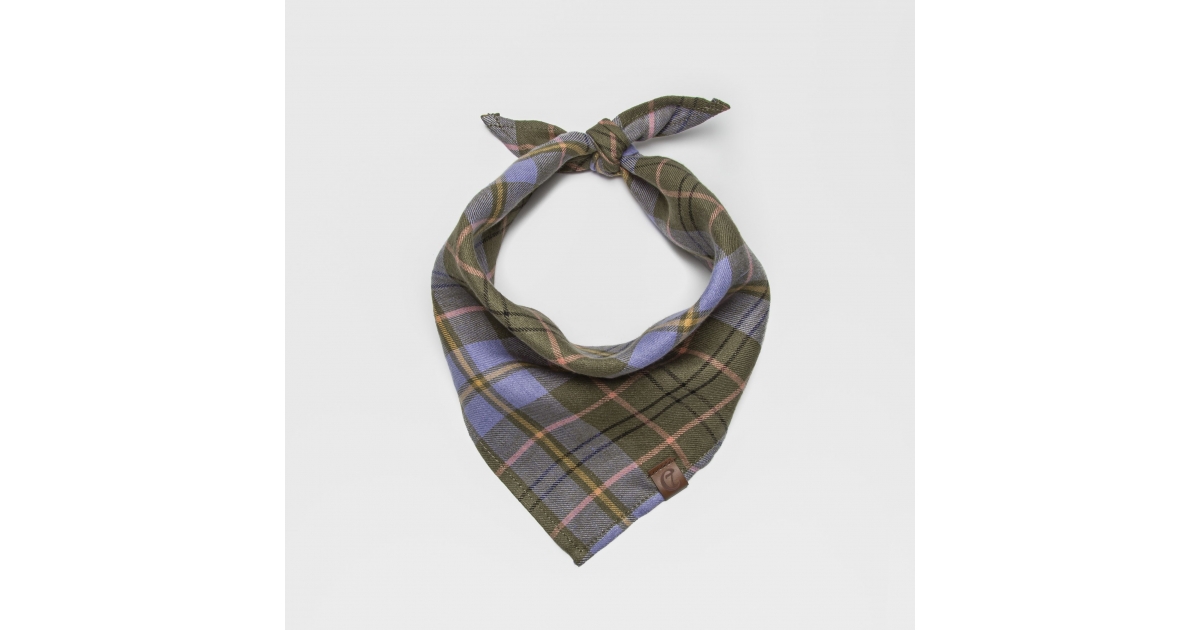 Bandana pour chiens - Bandana Check Green