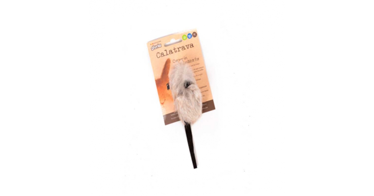 Calatrava peau de lapin Gloria - 1