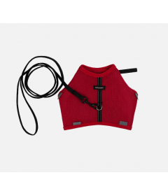 Harnais pour chats - Harnais Soft Chat + Laisse 2