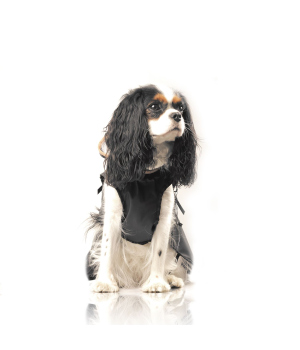 Hamilton (Cape) Milk & Pepper - 3