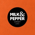 Laisse pour chiens - Laisse Dandy Milk & Pepper - 2
