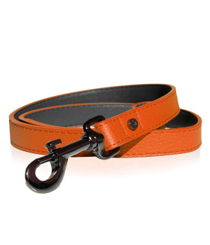 Laisse pour chiens - Laisse Dandy Milk & Pepper - 1