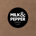 Laisse pour chiens - Laisse Dandy Milk & Pepper - 10