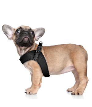 Harnais pour chien - Harnais Dandy Milk & Pepper - 3