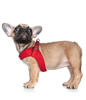 Harnais pour chien - Harnais Dandy Milk & Pepper - 6