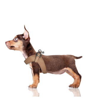 Harnais pour chien - Harnais Dandy Milk & Pepper - 9