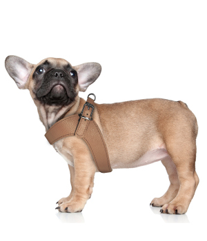 Harnais pour chien - Harnais Dandy Milk & Pepper - 10