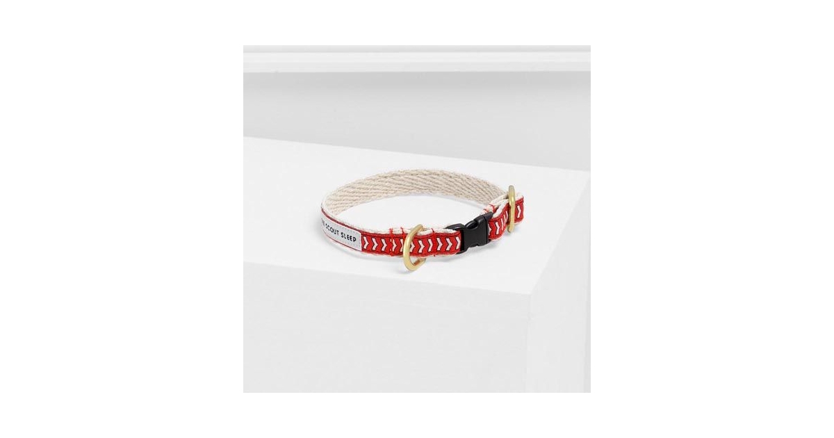 Cat Collar Chief I Bark, Cream, Black