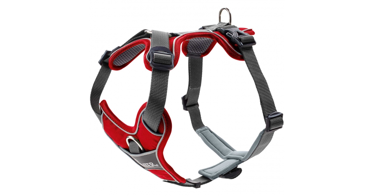 Harnais pour chien - Harnais DIVO Hunter - 3