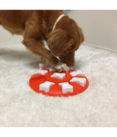 Dog Smart Nina Ottoson - 1