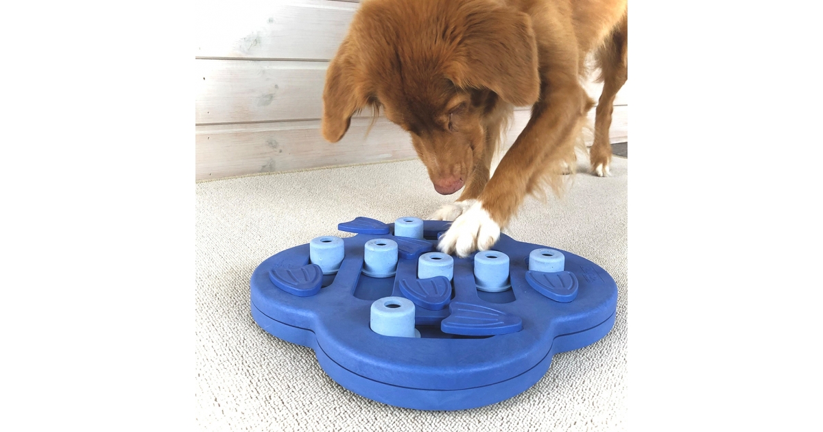 Dog Hide & Slide Nina Ottoson - 1