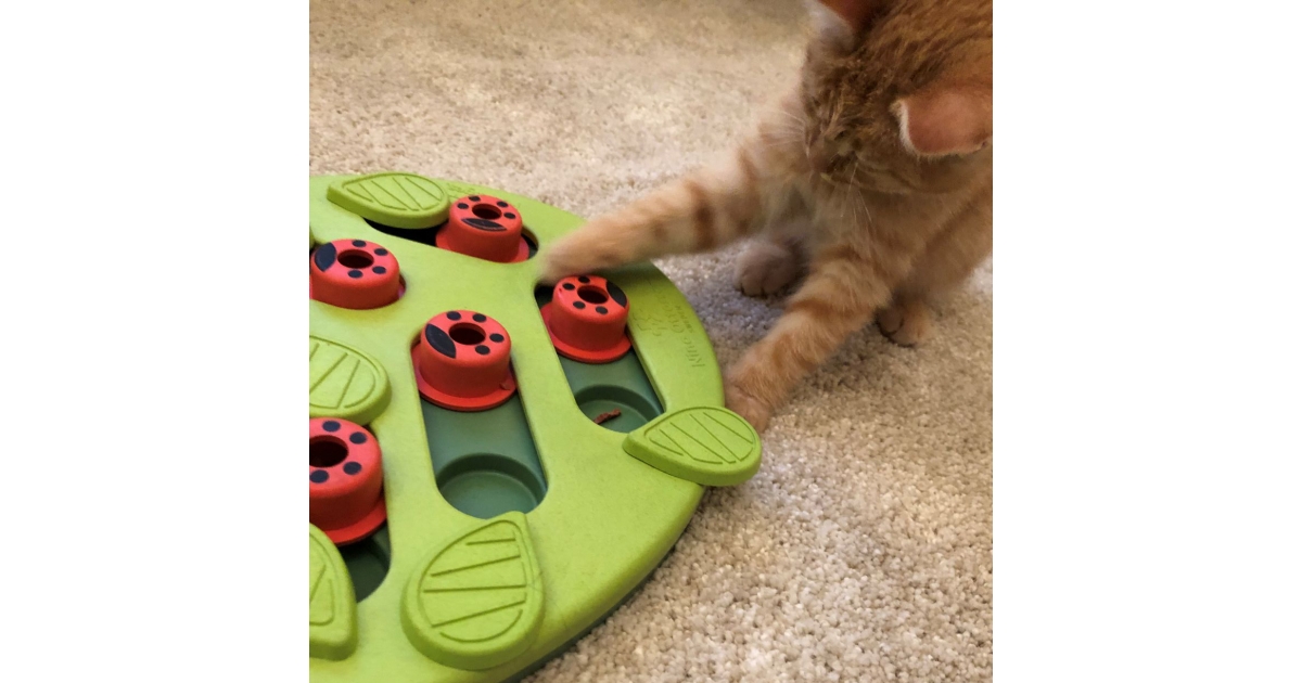 Buggin' out Puzzle & Play Nina Ottoson - 1