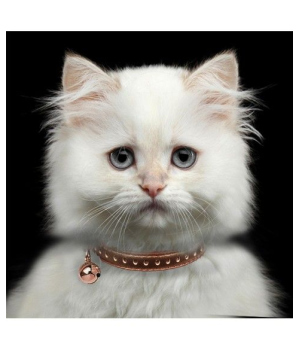 Collier chat Vega Milk & Pepper - 3