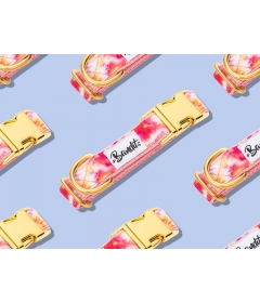 Collier pour chiens - Collier BANDIKINI French Bandit - 1