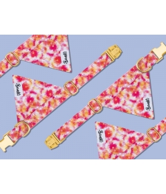 Bandana pour chiens - Bandana BANDIKINI French Bandit - 1