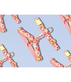 Harnais pour chien - Harnais BANDIKINI French Bandit - 1