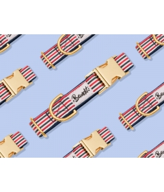 Collier pour chiens - Collier THE FRENCH BANBAN French Bandit - 1