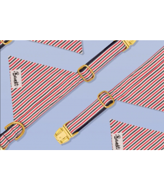 Bandana pour chiens - Bandana FRENCH BANBAN French Bandit - 1