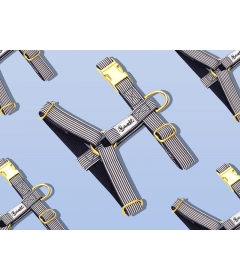 Harnais pour chien - Harnais IN THE NAVY French Bandit - 1